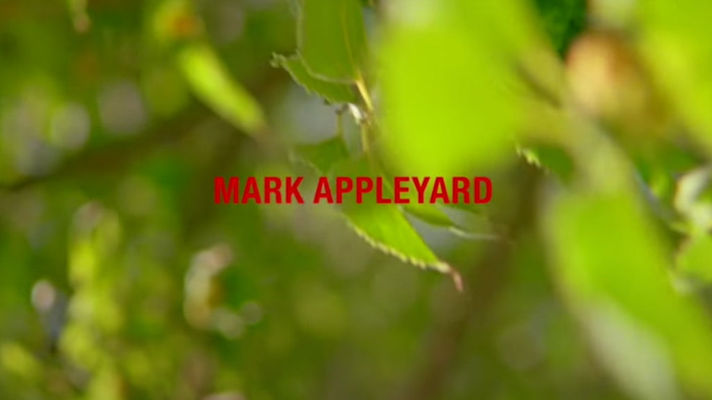 Mark Appleyard's "Globe" Part