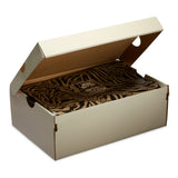 Nike SB Air Trainer 1 QS Limestone/Pink Quartz/Earht/Dusty Peach