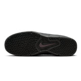 Nike SB Vertebrae Thunder Grey/Off Noir